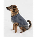 Blue Sky Fibers Pattern - Bird Island Dog Sweater