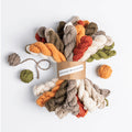 Blue Sky Fibers Woolstok DK Bundles